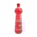 image Alcool Gel Acendedor 80 Paraná 480G