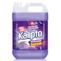 image Desinfetante 5Lt Lavanda Kalipto