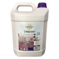 image Desinfetante 5Lt Limpador Perfumado Lavanda Quimicpar