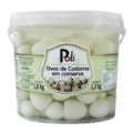 image Ovo De Codorna Poli Balde 1Kg